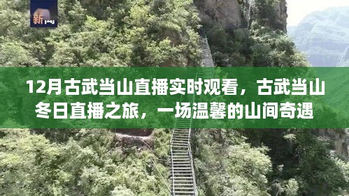 古武當山冬日直播之旅，探尋山間奇遇的溫馨之旅