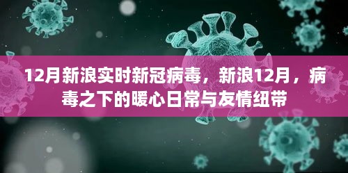 新浪12月，病毒下的暖心日常與友情紐帶，實(shí)時(shí)新冠病毒報(bào)道