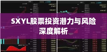 SXYL股票投資潛力與風(fēng)險深度解析