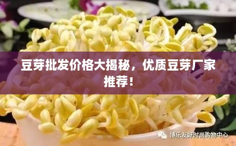 豆芽批發(fā)價格大揭秘，優(yōu)質(zhì)豆芽廠家推薦！