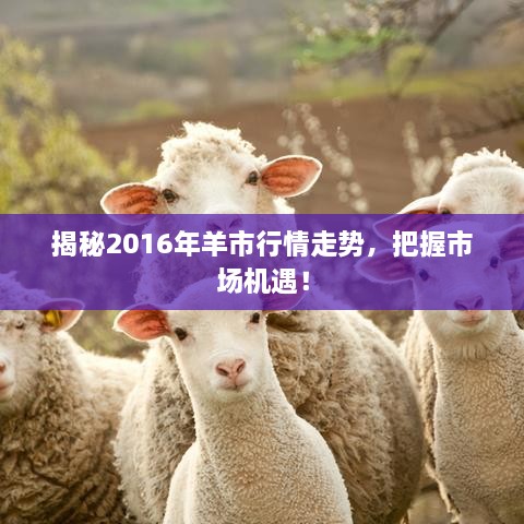 揭秘2016年羊市行情走勢，把握市場機遇！