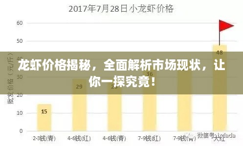 龍蝦價(jià)格揭秘，全面解析市場(chǎng)現(xiàn)狀，讓你一探究竟！