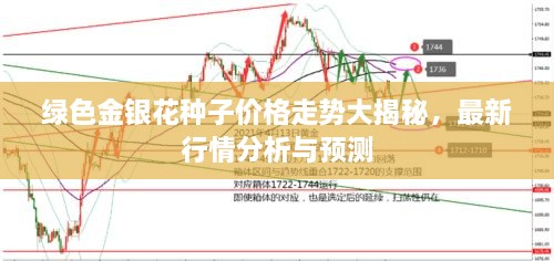 綠色金銀花種子價(jià)格走勢(shì)大揭秘，最新行情分析與預(yù)測(cè)