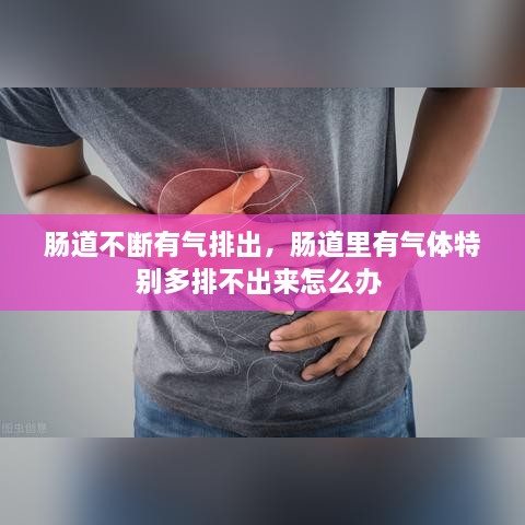 腸道不斷有氣排出，腸道里有氣體特別多排不出來(lái)怎么辦 