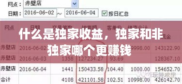 什么是獨(dú)家收益，獨(dú)家和非獨(dú)家哪個(gè)更賺錢 