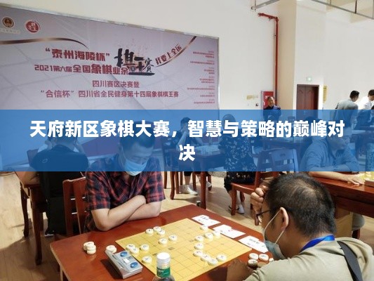 天府新區(qū)象棋大賽，智慧與策略的巔峰對(duì)決