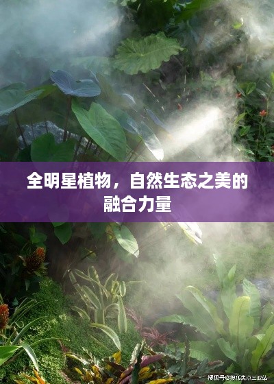 全明星植物，自然生態(tài)之美的融合力量