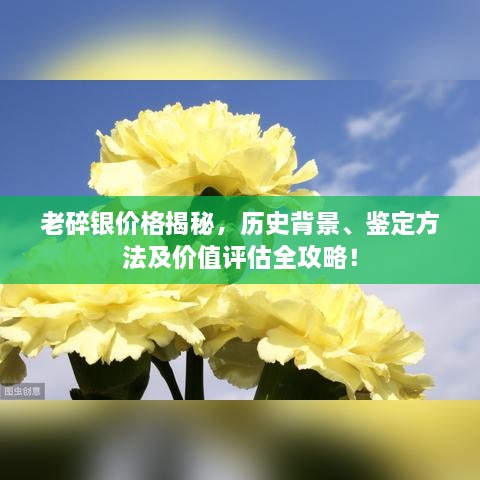 老碎銀價(jià)格揭秘，歷史背景、鑒定方法及價(jià)值評估全攻略！