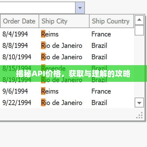 揭秘API價(jià)格，獲取與理解的攻略