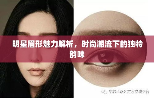 明星眉形魅力解析，時尚潮流下的獨特韻味