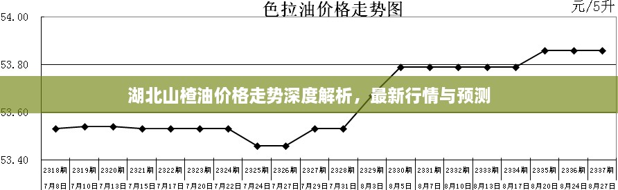 湖北山楂油價(jià)格走勢(shì)深度解析，最新行情與預(yù)測(cè)