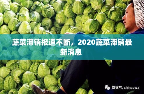 蔬菜滯銷報(bào)道不斷，2020蔬菜滯銷最新消息 