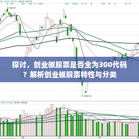 2025年1月4日 第11頁