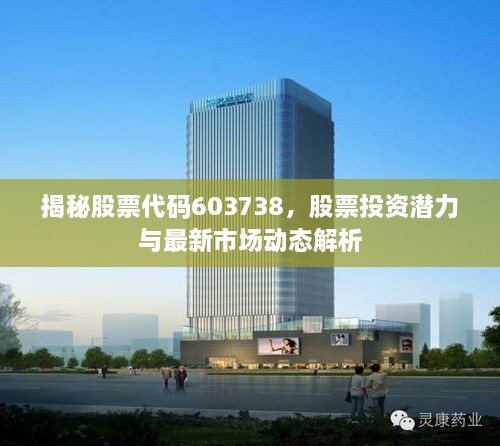 揭秘股票代碼603738，股票投資潛力與最新市場動態(tài)解析