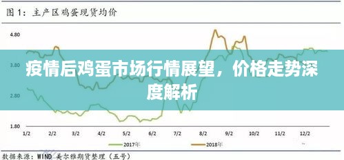 疫情后雞蛋市場(chǎng)行情展望，價(jià)格走勢(shì)深度解析