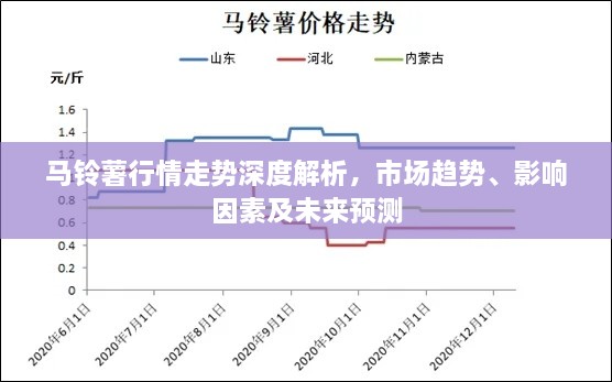 馬鈴薯行情走勢深度解析，市場趨勢、影響因素及未來預(yù)測