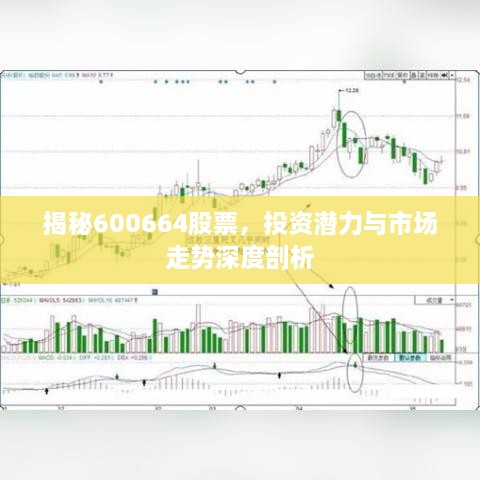 揭秘600664股票，投資潛力與市場走勢深度剖析