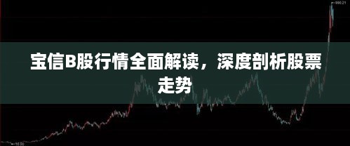 寶信B股行情全面解讀，深度剖析股票走勢(shì)