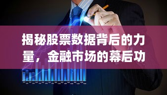 揭秘股票數(shù)據(jù)背后的力量，金融市場的幕后功臣