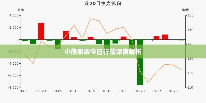 小熊股票今日行情深度解析