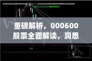 重磅解析，000600股票全面解讀，洞悉投資趨勢(shì)！