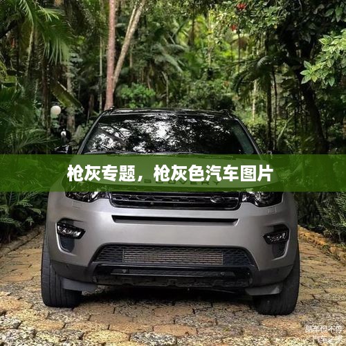 槍灰專題，槍灰色汽車圖片 