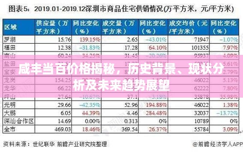 咸豐當(dāng)百價格揭秘，歷史背景、現(xiàn)狀分析及未來趨勢展望