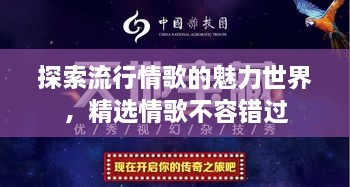 探索流行情歌的魅力世界，精選情歌不容錯過