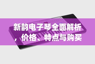 新韻電子琴全面解析，價格、特點(diǎn)與購買建議