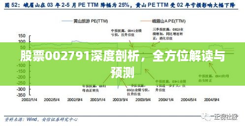 股票002791深度剖析，全方位解讀與預(yù)測