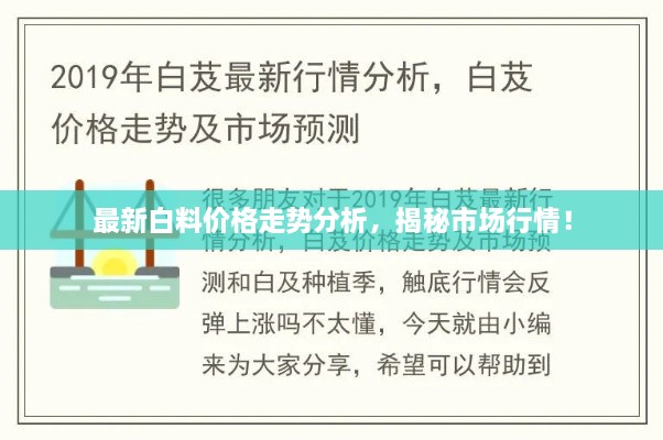 最新白料價格走勢分析，揭秘市場行情！