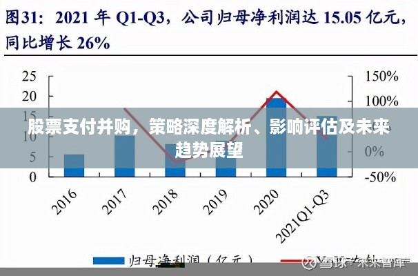 股票支付并購，策略深度解析、影響評估及未來趨勢展望