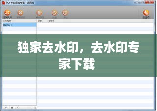 獨(dú)家去水印，去水印專(zhuān)家下載 