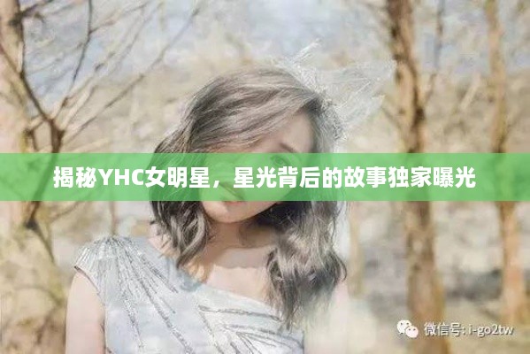 揭秘YHC女明星，星光背后的故事獨(dú)家曝光