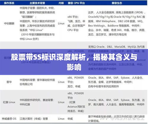 股票帶SS標(biāo)識(shí)深度解析，揭秘其含義與影響