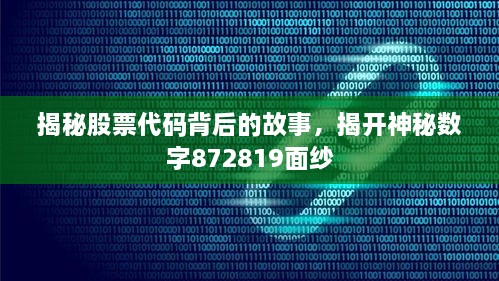 揭秘股票代碼背后的故事，揭開神秘?cái)?shù)字872819面紗