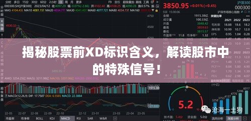 揭秘股票前XD標(biāo)識(shí)含義，解讀股市中的特殊信號(hào)！