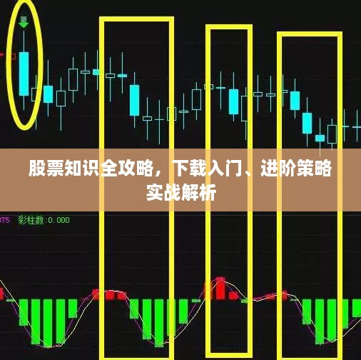 股票知識全攻略，下載入門、進階策略實戰(zhàn)解析