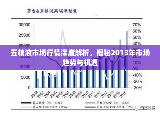 五糧液市場行情深度解析，揭秘2013年市場趨勢與機(jī)遇