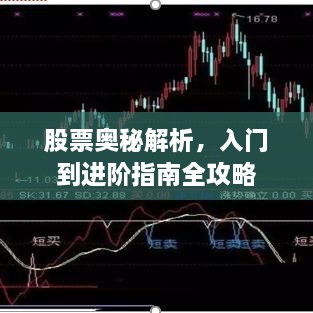 股票奧秘解析，入門到進(jìn)階指南全攻略