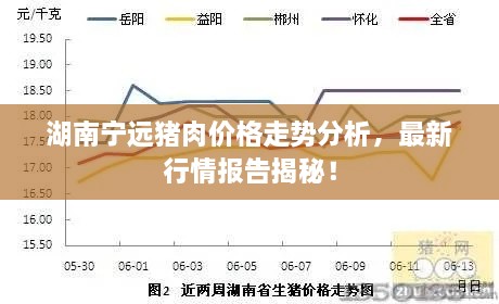 湖南寧遠(yuǎn)豬肉價(jià)格走勢分析，最新行情報(bào)告揭秘！