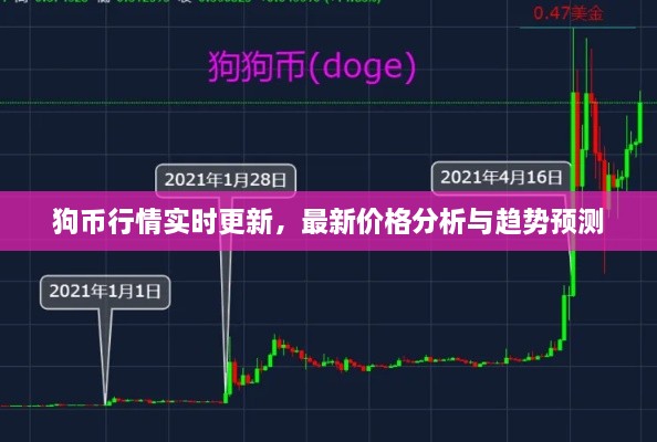 狗幣行情實時更新，最新價格分析與趨勢預測