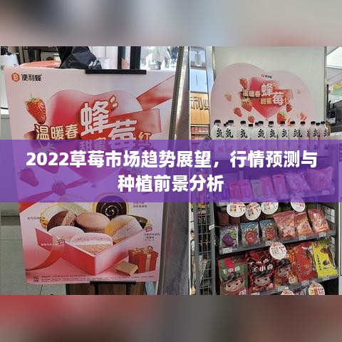 2022草莓市場(chǎng)趨勢(shì)展望，行情預(yù)測(cè)與種植前景分析