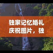 獨家記憶婚禮慶祝圖片，獨家記憶圖片唯美 