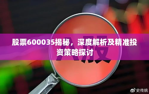 股票600035揭秘，深度解析及精準(zhǔn)投資策略探討