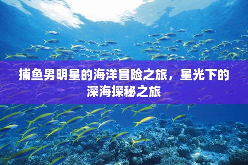 捕魚男明星的海洋冒險(xiǎn)之旅，星光下的深海探秘之旅