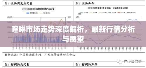 喹啉市場走勢深度解析，最新行情分析與展望