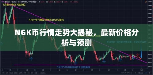 NGK幣行情走勢大揭秘，最新價格分析與預測