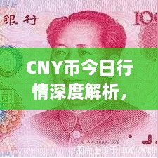 CNY幣今日行情深度解析，最新價格動態(tài)一網(wǎng)打盡！