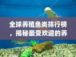 全球養(yǎng)殖魚類排行榜，揭秘最受歡迎的養(yǎng)殖魚類種類！